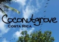 Coconut Grove Oceanfront Cottages